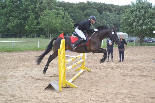 reitertag 2013 59
